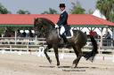 Jan Brons and Jourdan win the USEF HP Grand Prix Special at Cosequin Wellington Dressage, a Susan Stickle Photo